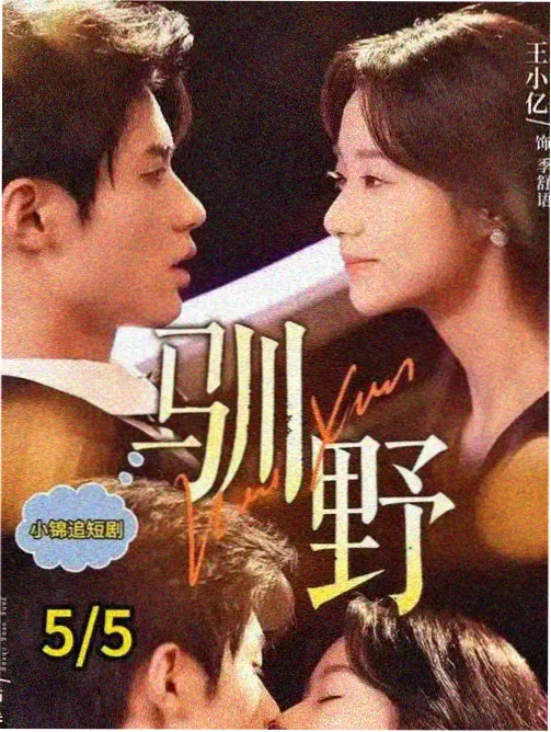 洞口的风 作品海报大图